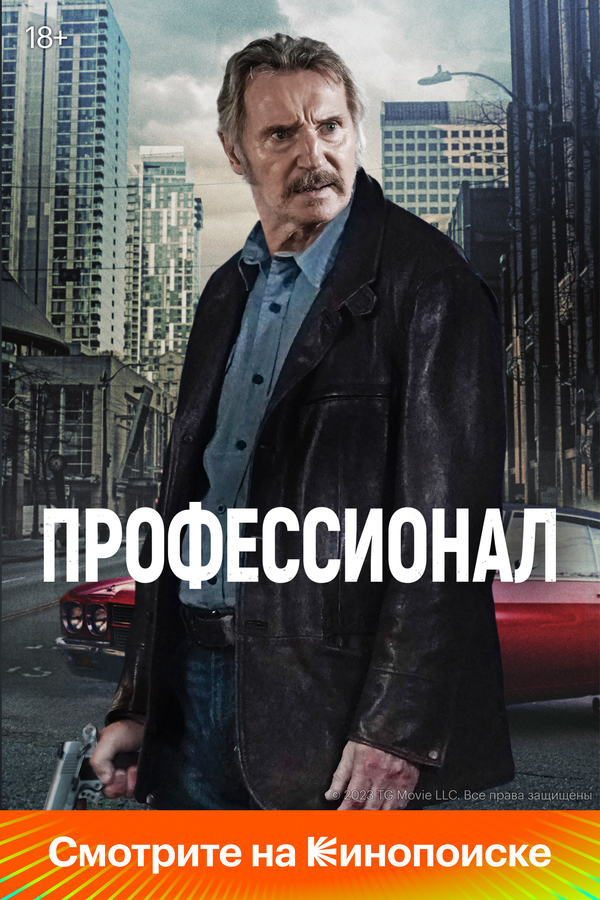 Профессионал 2024 постер
